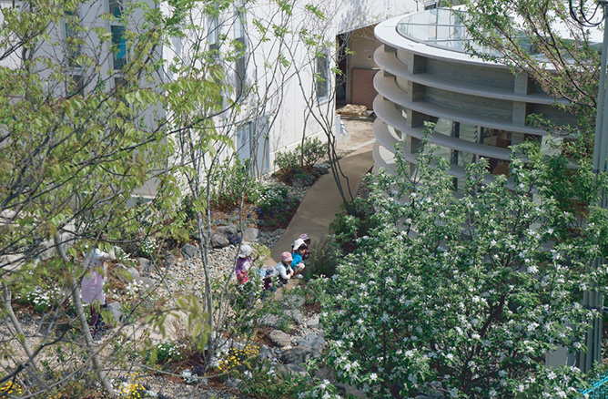 ピーナツ 鳥瞰 植物と寄り添う